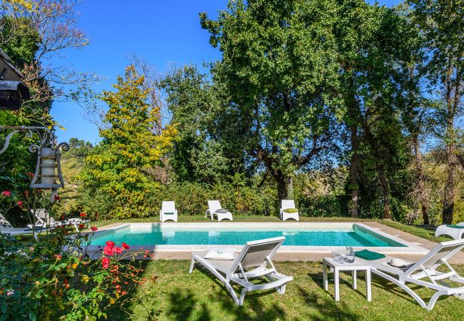 Villa a Montemaggiore al Metauro - Luce tra i Faggi 8 Villa a Montemaggiore al Metauro - Luce tra i Faggi 8