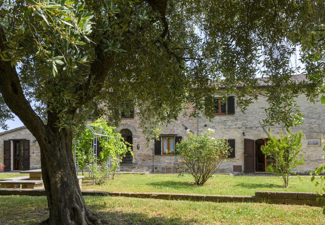 Villa a Mondavio - Ca Lucciola 8 Villa a Mondavio - Ca Lucciola 8