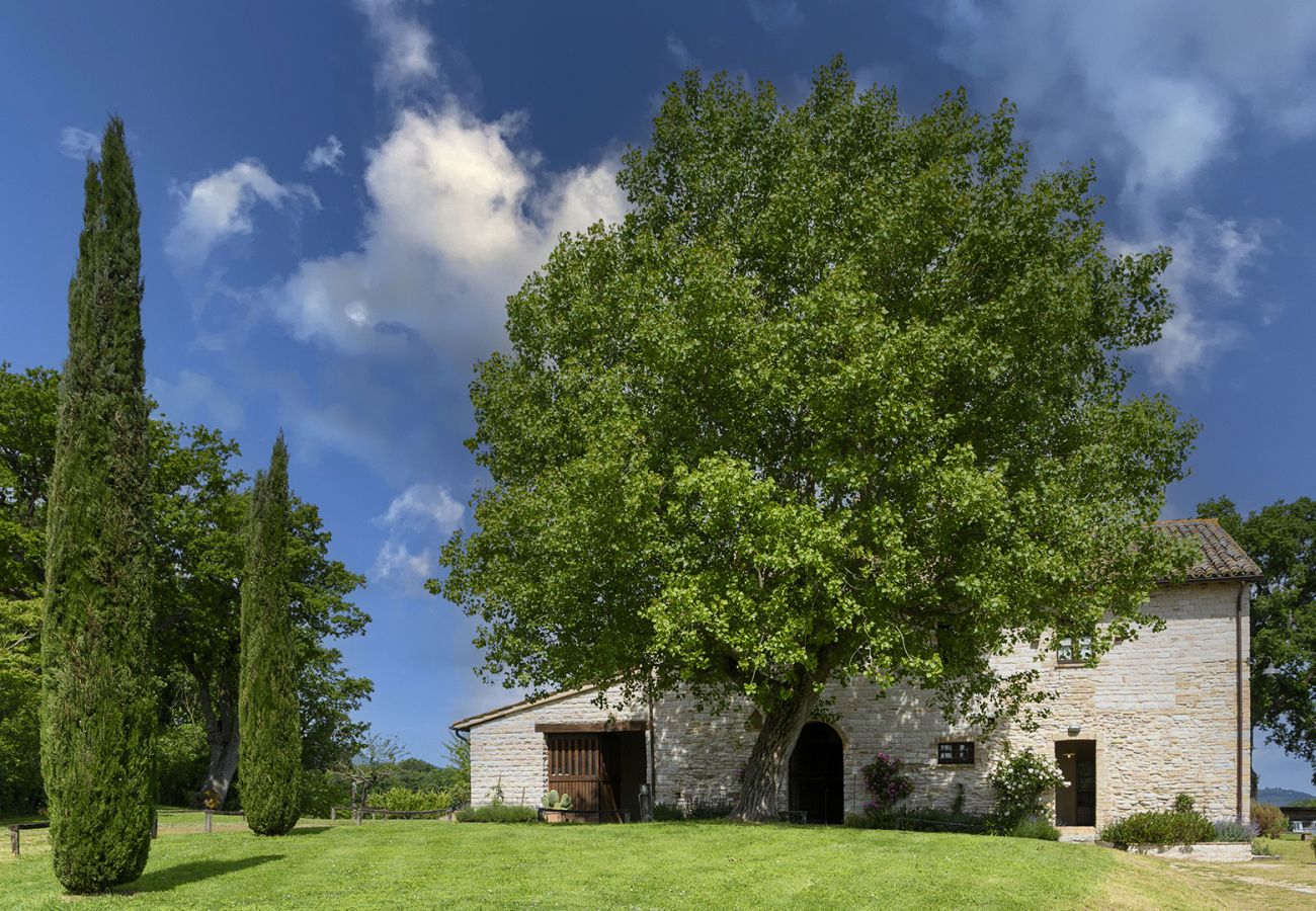 Villa in Cagli - Checello 12 Villa in Cagli - Checello 12
