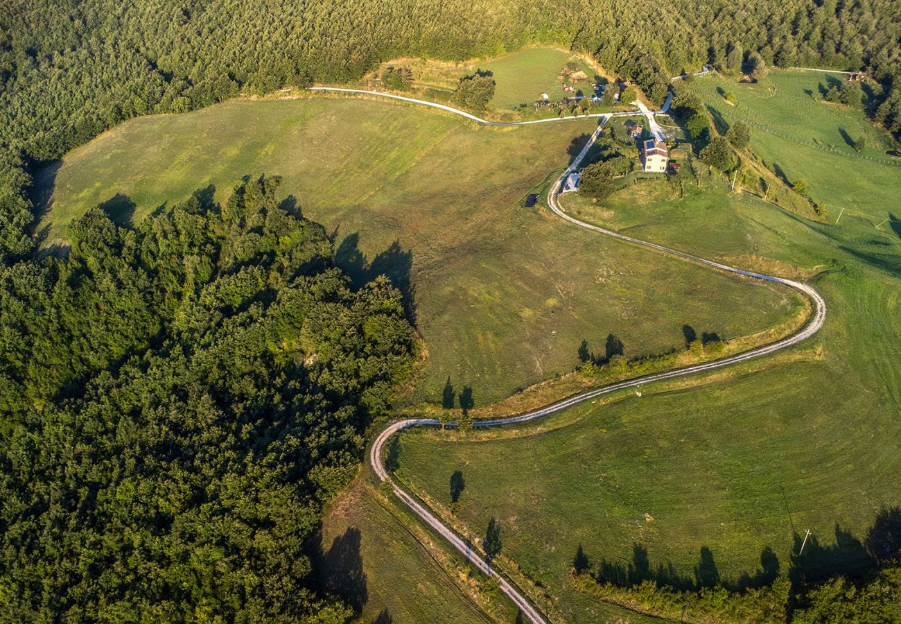 Villa in Apecchio - Ca Quattrocchi 10+3 Villa in Apecchio - Ca Quattrocchi 10+3