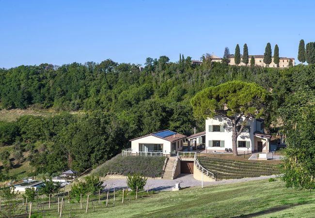 Villa in Saltara - Casale Astralis 13