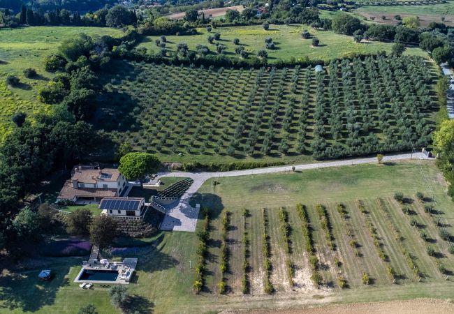 Villa in Saltara - Casale Astralis 13 Villa in Saltara - Casale Astralis 13