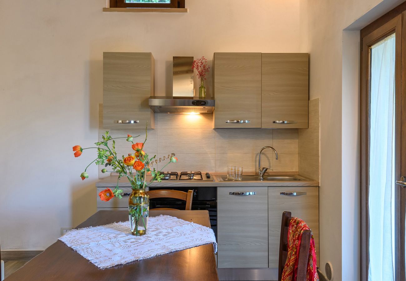 Villa in Piobbico - Acquanera 6+2 Villa in Piobbico - Acquanera 6+2