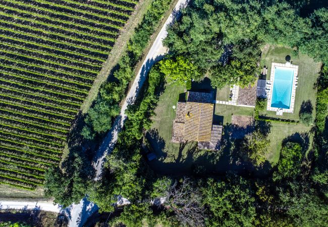 Villa in Saltara - Villa Deda 12+2 Villa in Saltara - Villa Deda 12+2