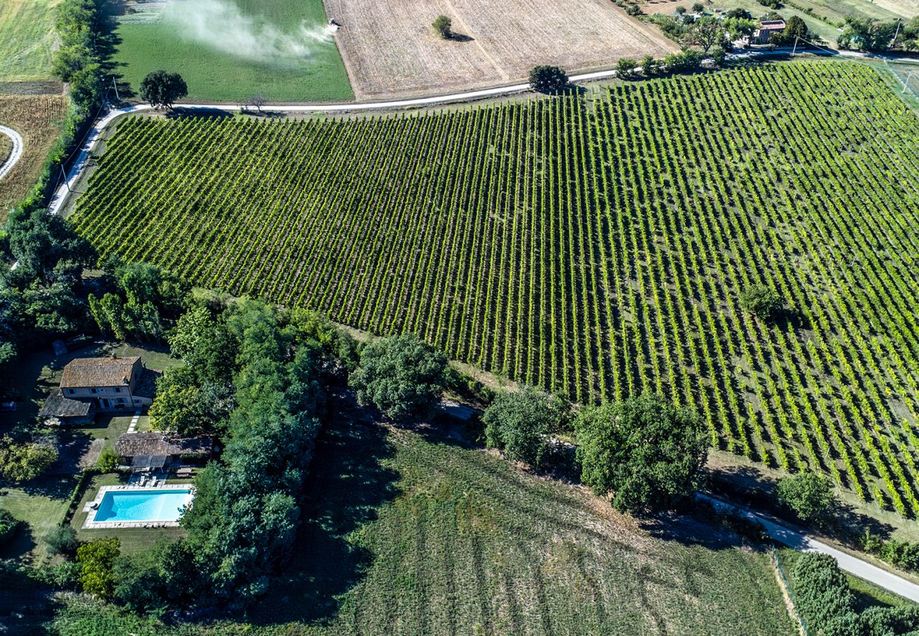 Villa in Saltara - Villa Deda 12+2 Villa in Saltara - Villa Deda 12+2