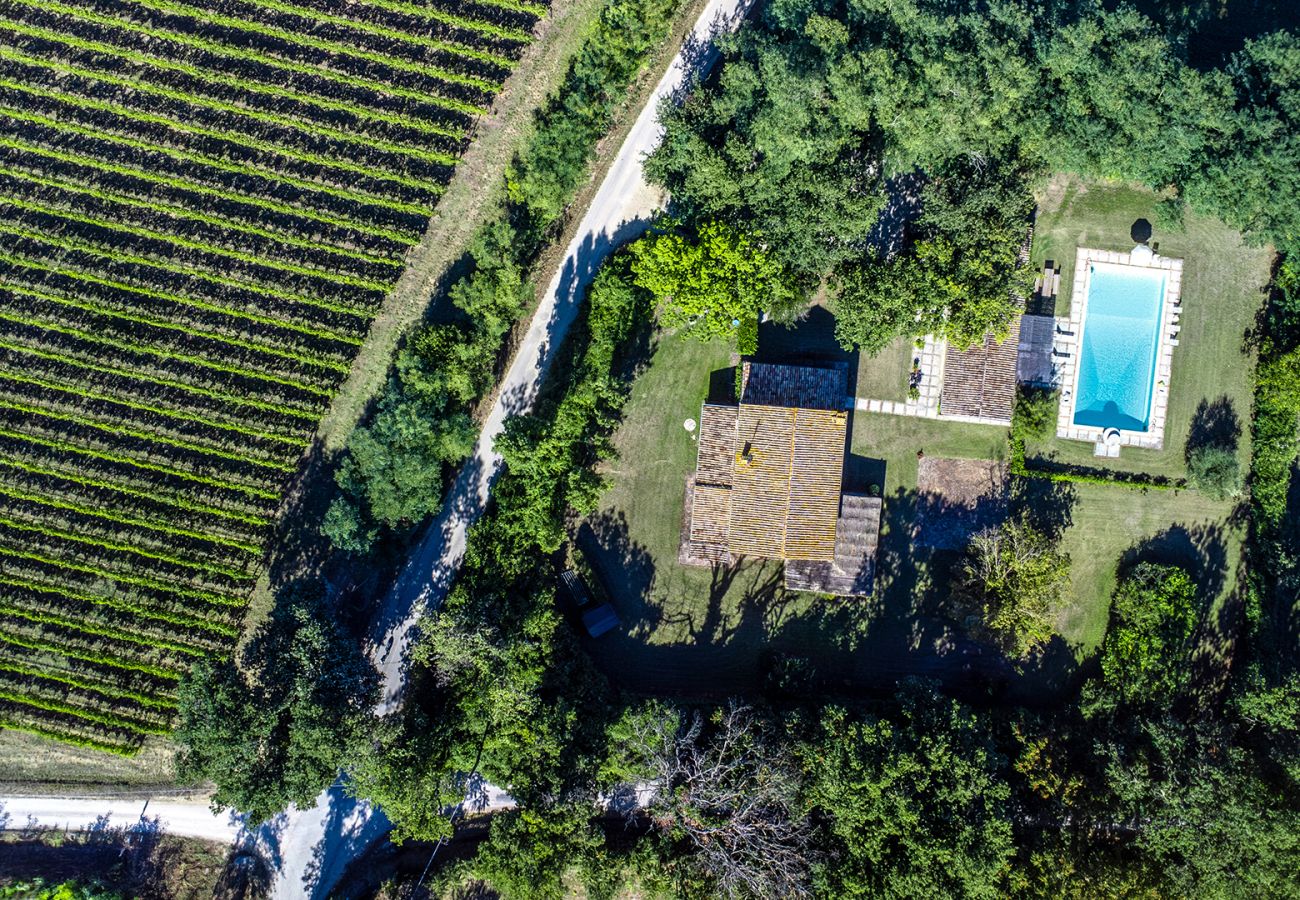 Villa in Saltara - Villa Deda 12+2 Villa in Saltara - Villa Deda 12+2