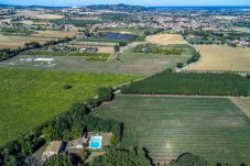 Villa in Saltara - Villa Deda 12+2