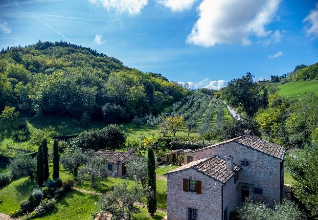 Villa in Fano - Villa Emilianna 12+2 Villa in Fano - Villa Emilianna 12+2